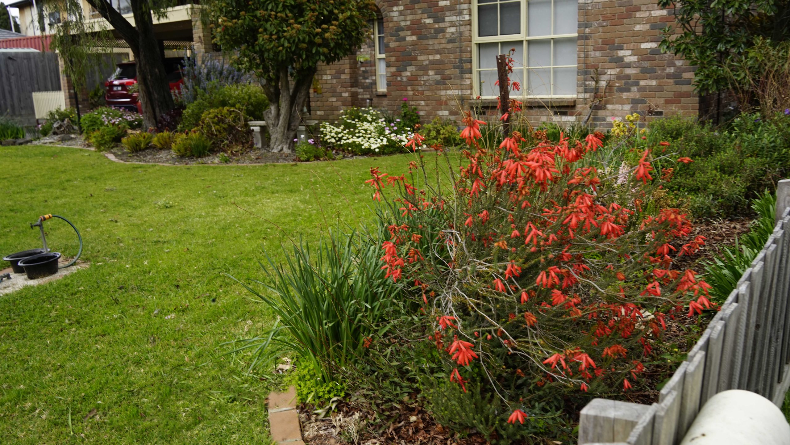 TRIMTRADES CROWE STREET AVATAR