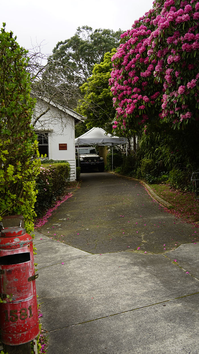 VANESSA Burwood Highway